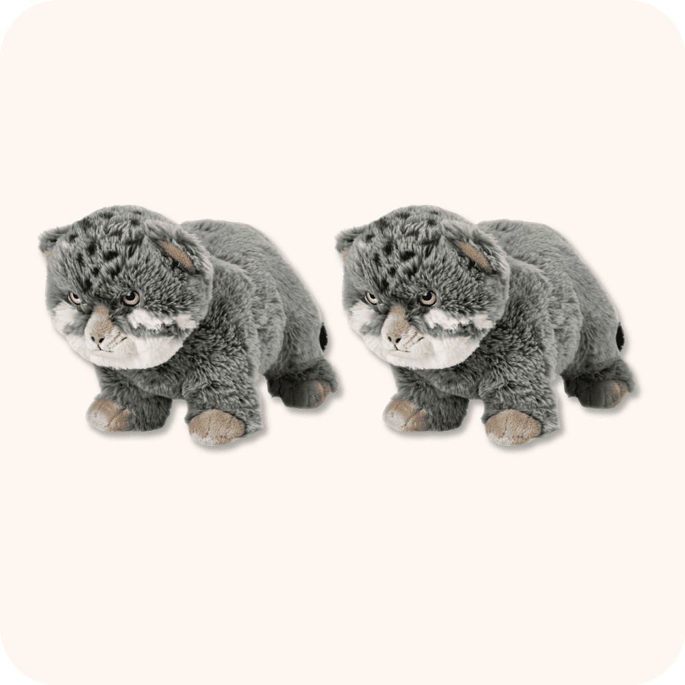 Pallas Cat Plush 2PCS Pallas Cat Plush 2PCS