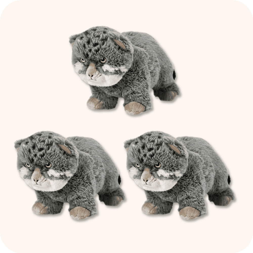 Pallas Cat Plush 3PCS Pallas Cat Plush 3PCS