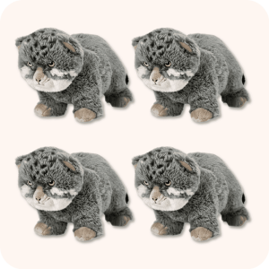 Pallas Cat Plush 4PCS